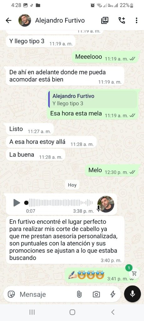Conversación de WhatsApp con cliente Alejandro elogiando la asesoría y puntualidad en Furtivo